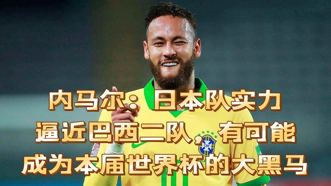 匈牙利队表现稳定，实力或成黑马之一的简单介绍